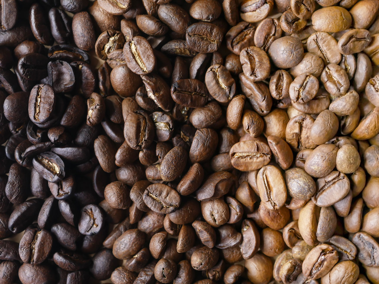 3 ระดับการคั่วของกาแฟคั่วบด รสชาติที่แตกต่างจากเมล็ดเดียวกัน