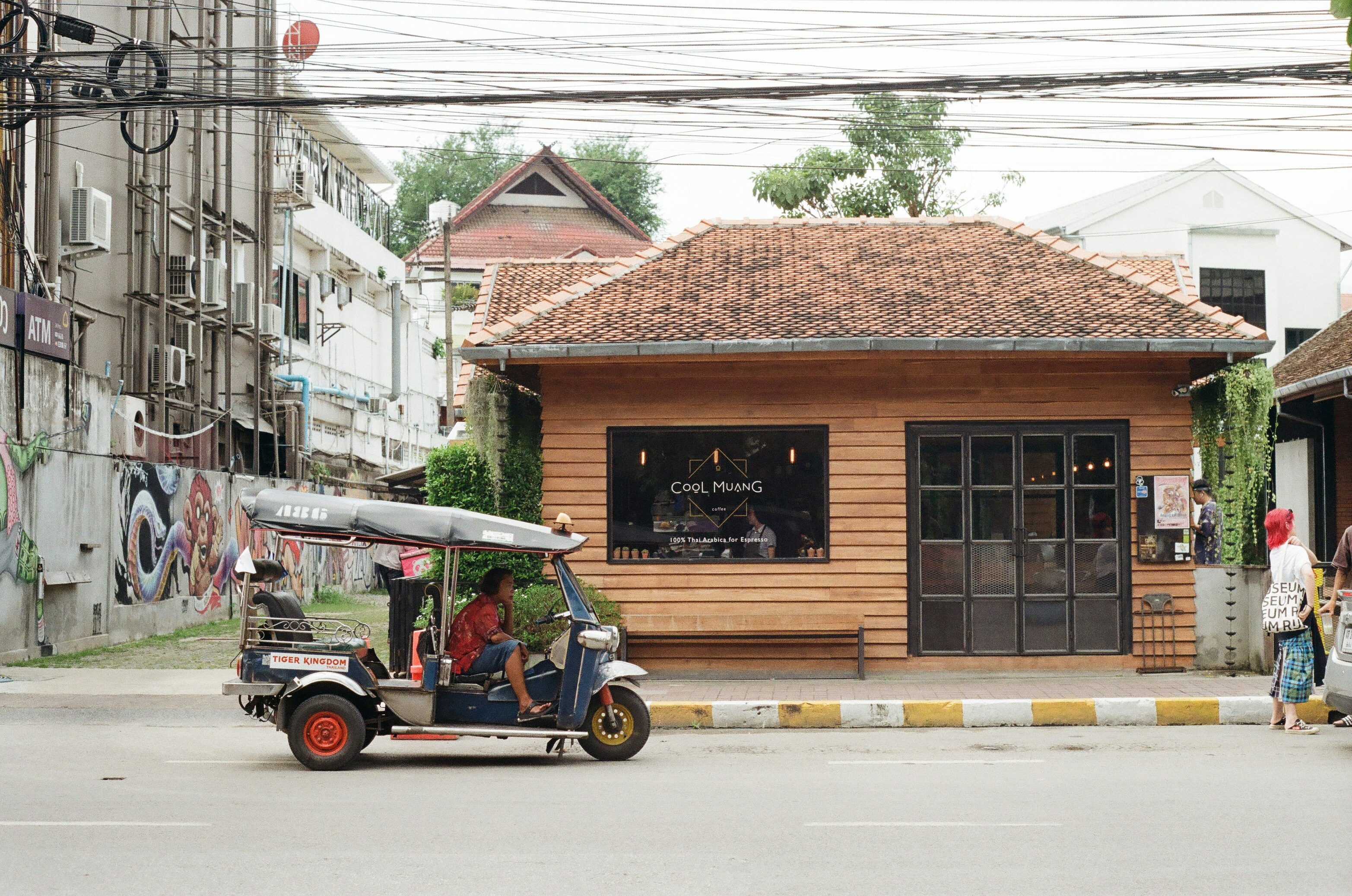 กาแฟเชียงใหม่ ยกระดับสู่เวทีโลก: สัมผัสเสน่ห์ "กาแฟอมก๋อย" กาแฟออแกนิค รักษ์ป่าที่คอกาแฟต้องลอง